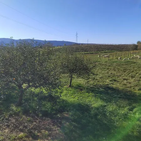 Apartmán Apartma Kimi