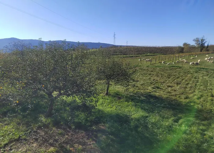 Appartamento Apartma Kimi